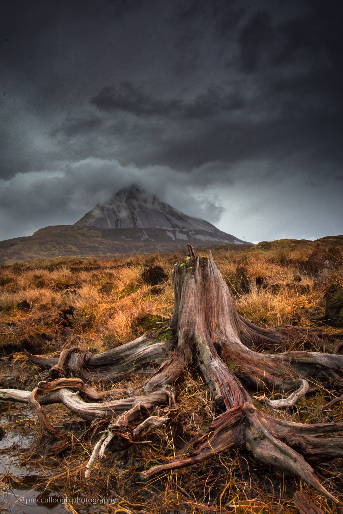 Nikon D7200 sample photo. Mount errigal , and bog land tree roots. photography
