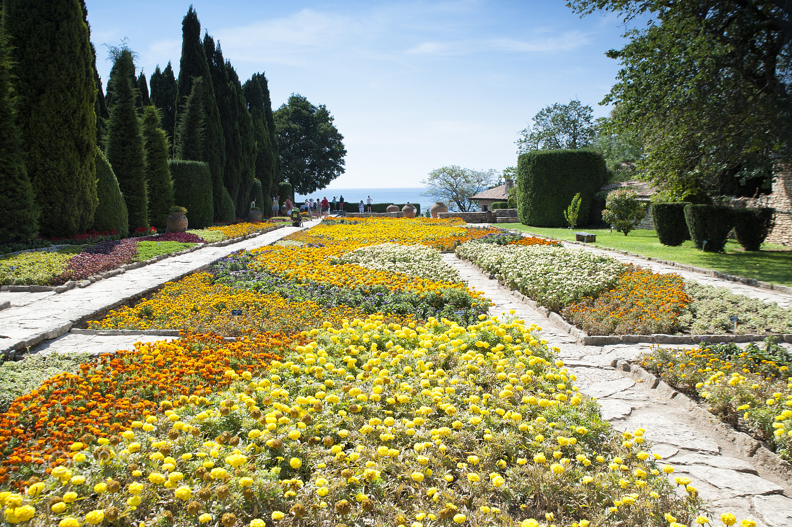 Tamron SP 24-70mm F2.8 Di VC USD sample photo. Botanic garden by the sea of the city of balchik. photography