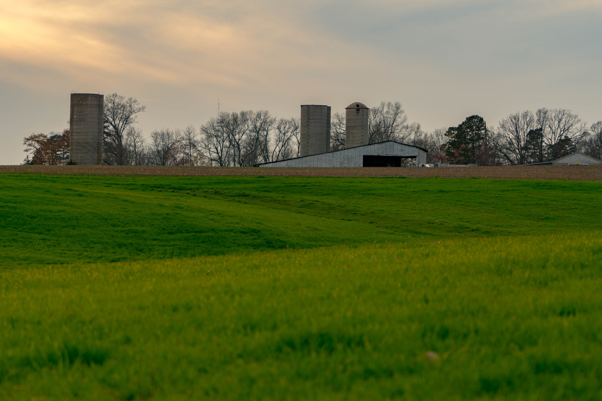 Sony a6000 + Sony FE 70-200mm F4 G OSS sample photo. Green fields photography