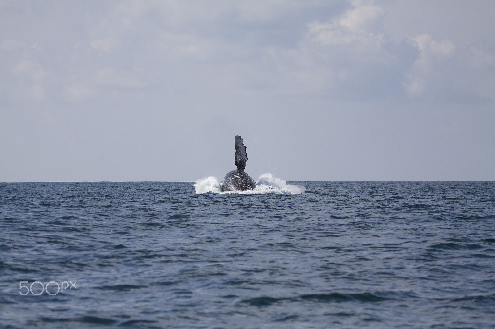 Canon EF 100-400mm F4.5-5.6L IS USM sample photo. Splashdown photography