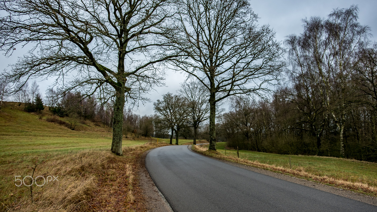 Fujifilm X-T2 sample photo. Road to runkenbjerg photography