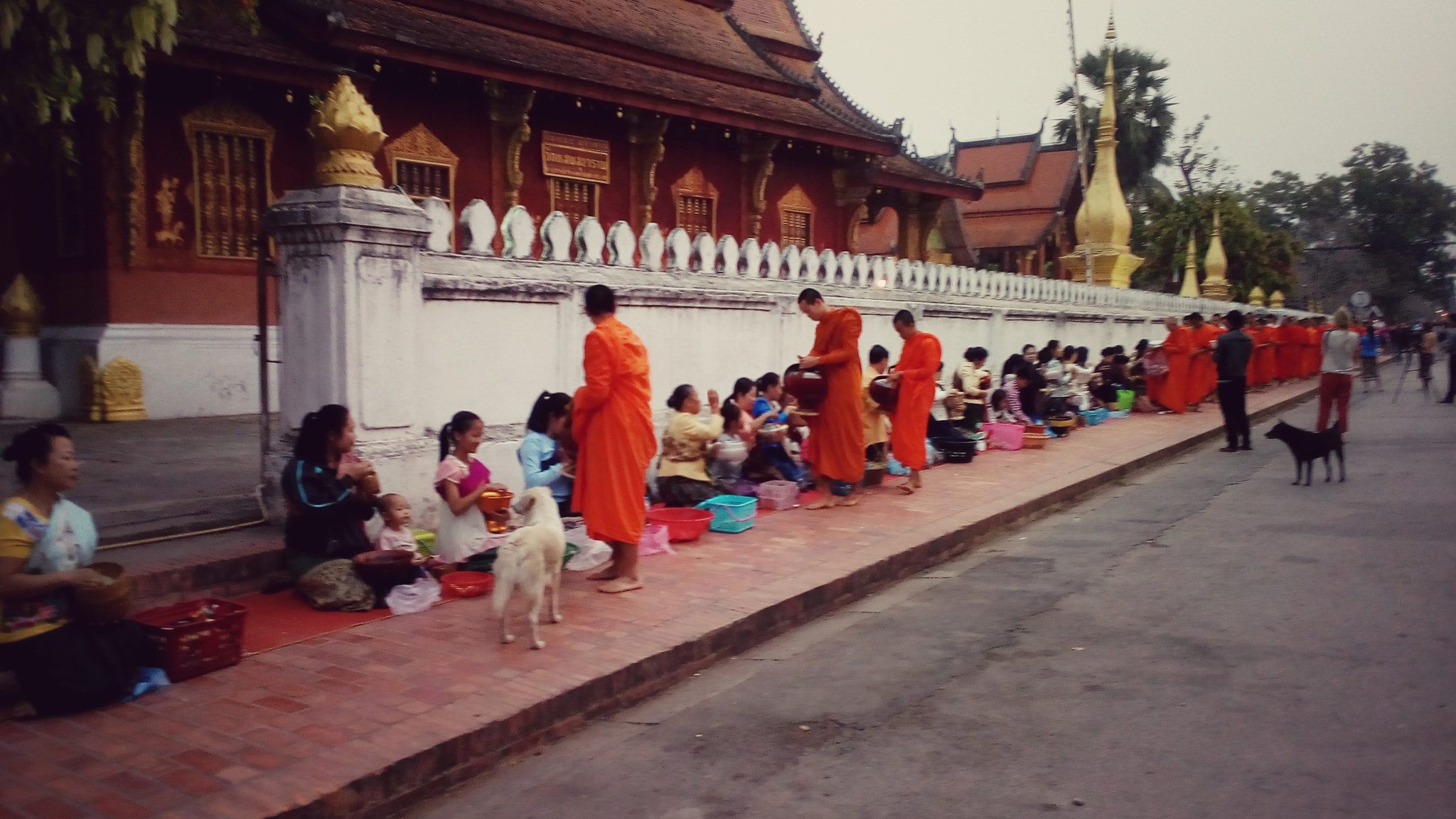 ZTE dtac phone M1 sample photo. Tradition of luang phra bang photography