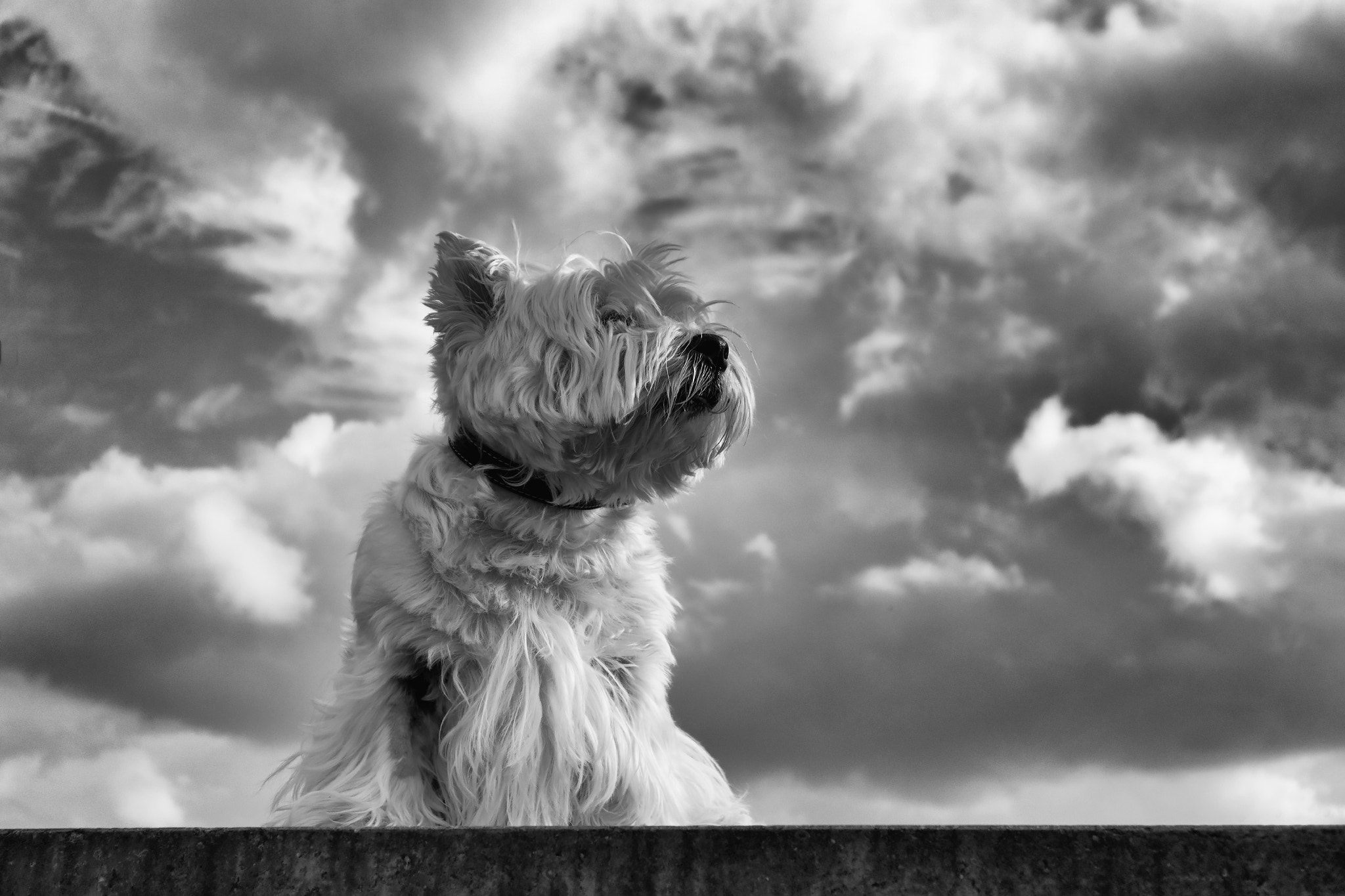Canon EOS M3 sample photo. My boy! photography