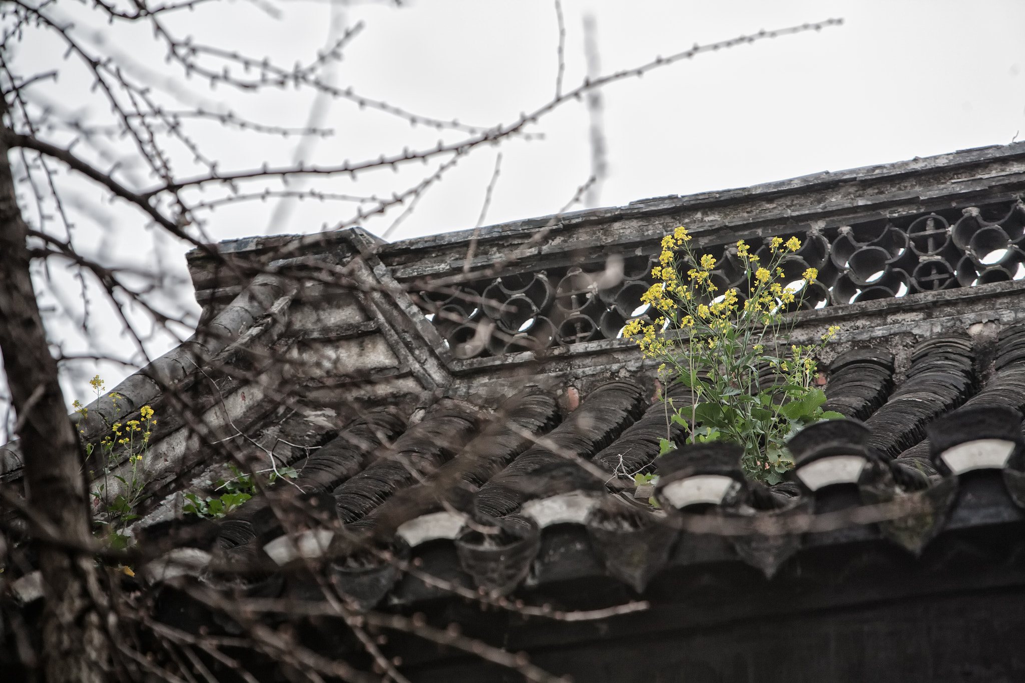 Canon EF 70-200mm F2.8L IS USM sample photo. Roof photography