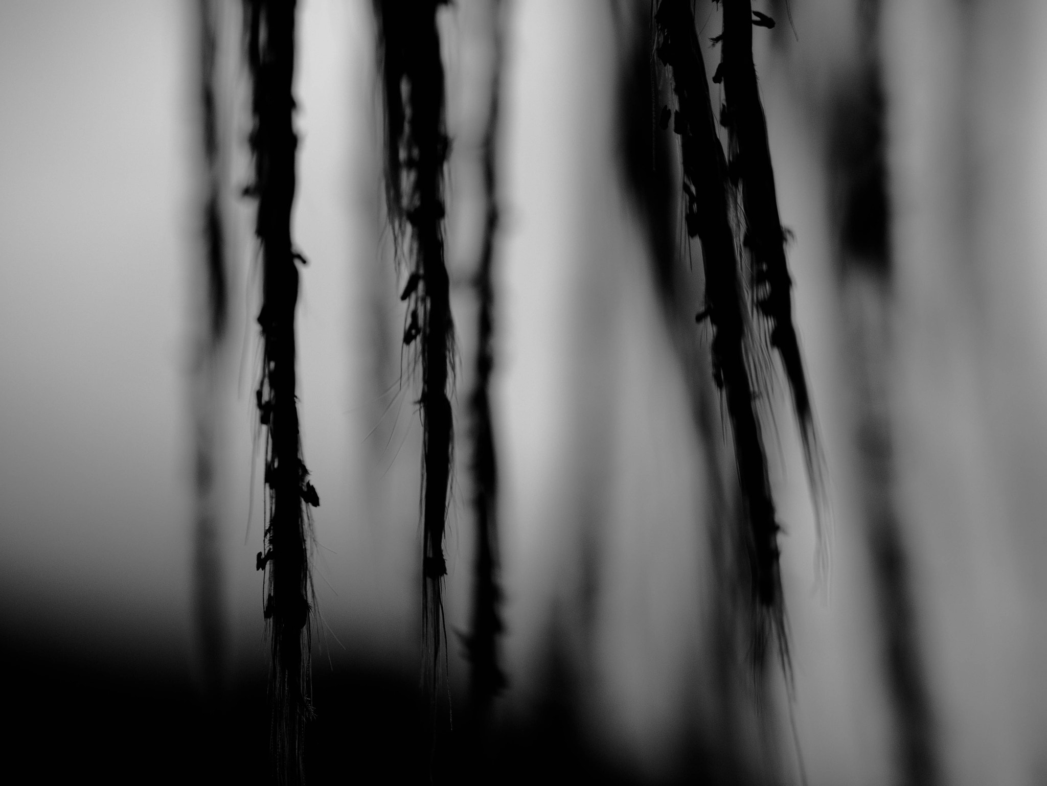 Panasonic Lumix G Vario 45-200mm F4-5.6 OIS sample photo. Sans titre photography