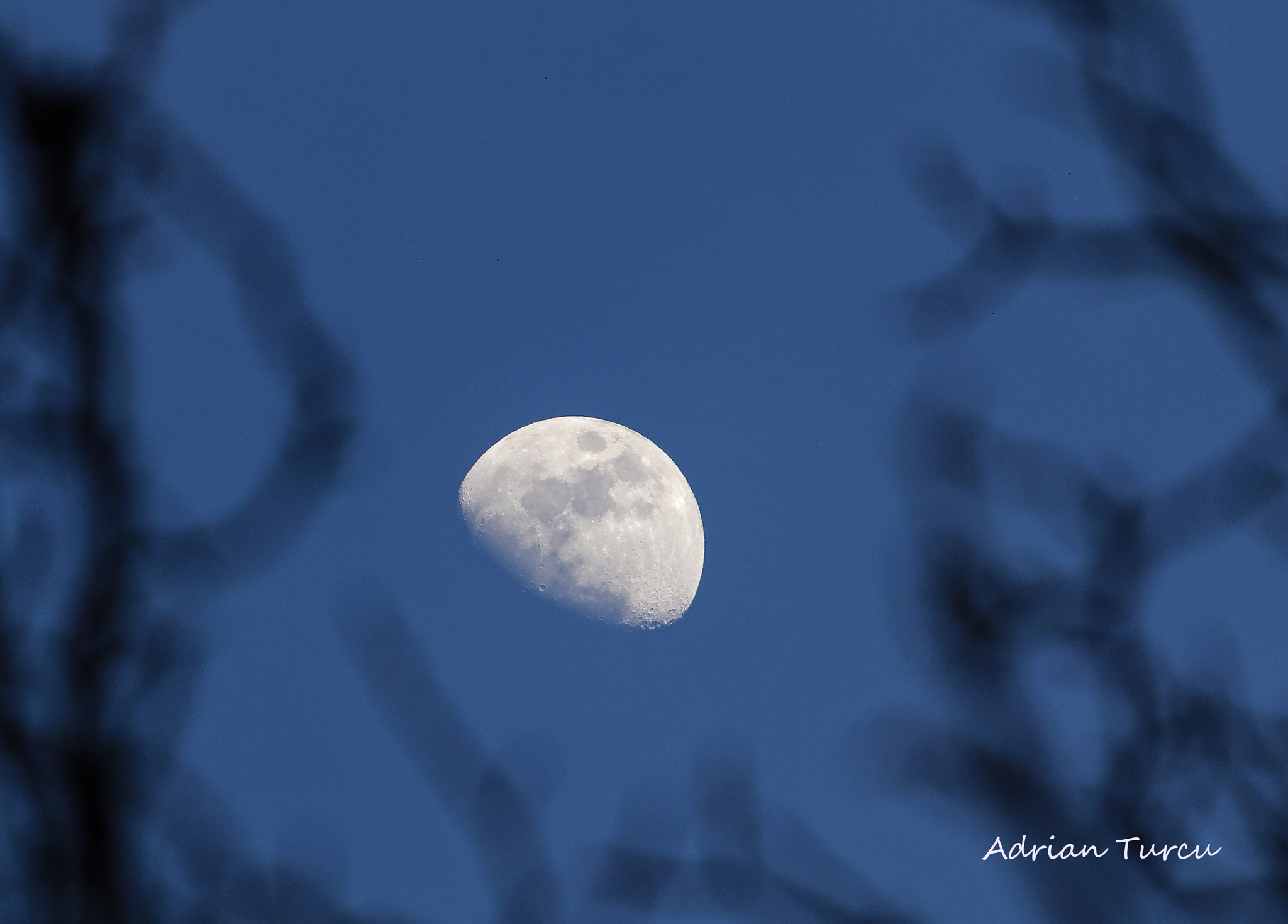 Canon EF-S 55-250mm F4-5.6 IS sample photo. Moon photography