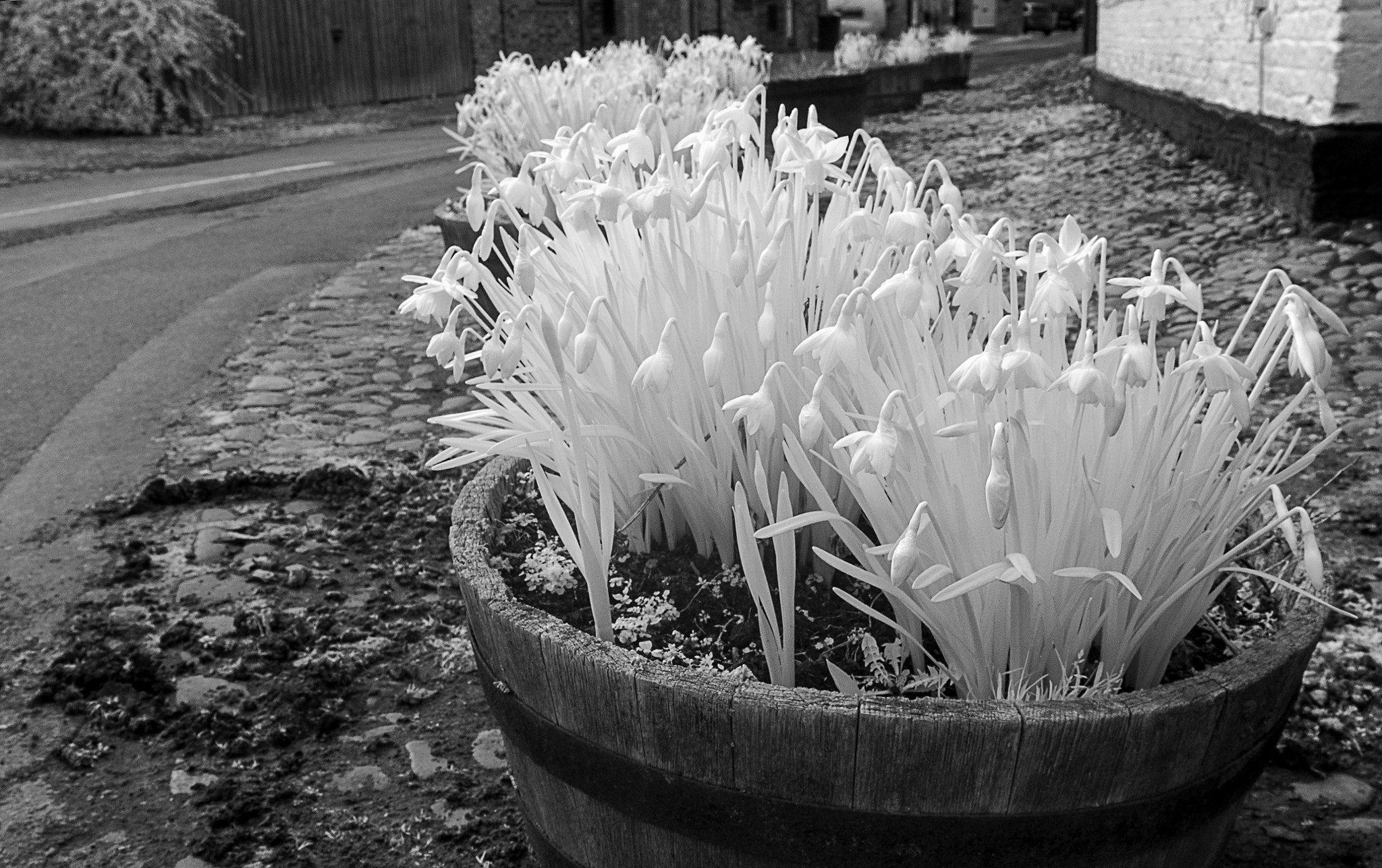Nikon AF-S Nikkor 24-70mm F2.8G ED sample photo. A north yorkshire village photography