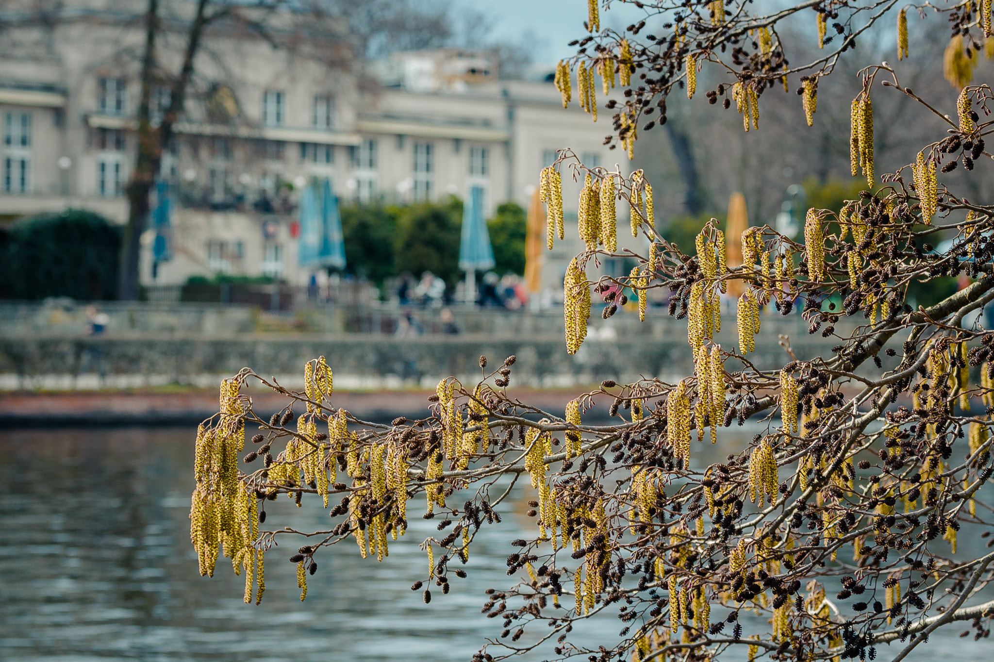 Canon EF-S 60mm F2.8 Macro USM sample photo. Treptower park, berlin. photography