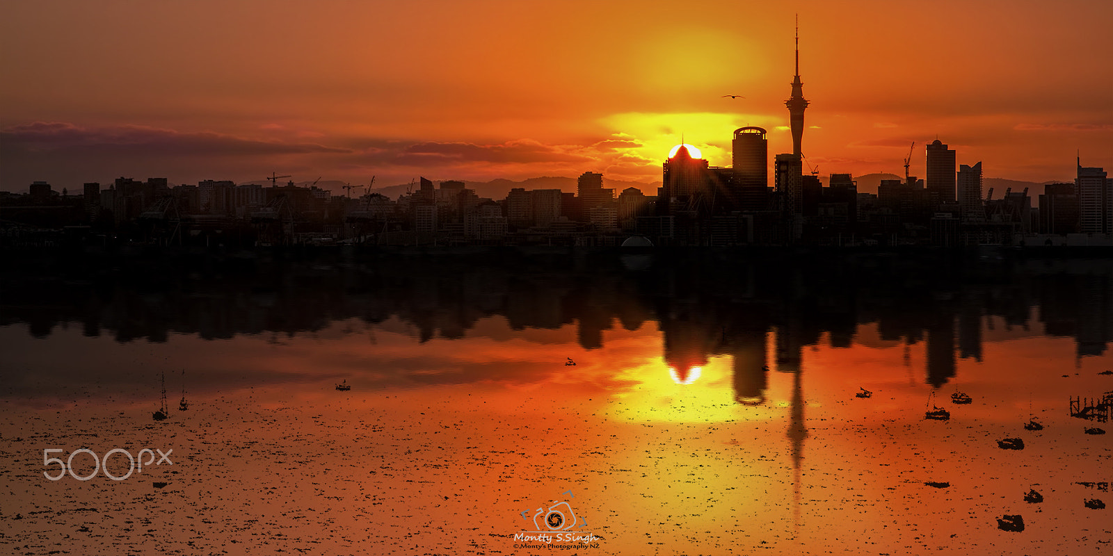 Canon EF 24-70mm F2.8L II USM sample photo. Auckland sunset photography