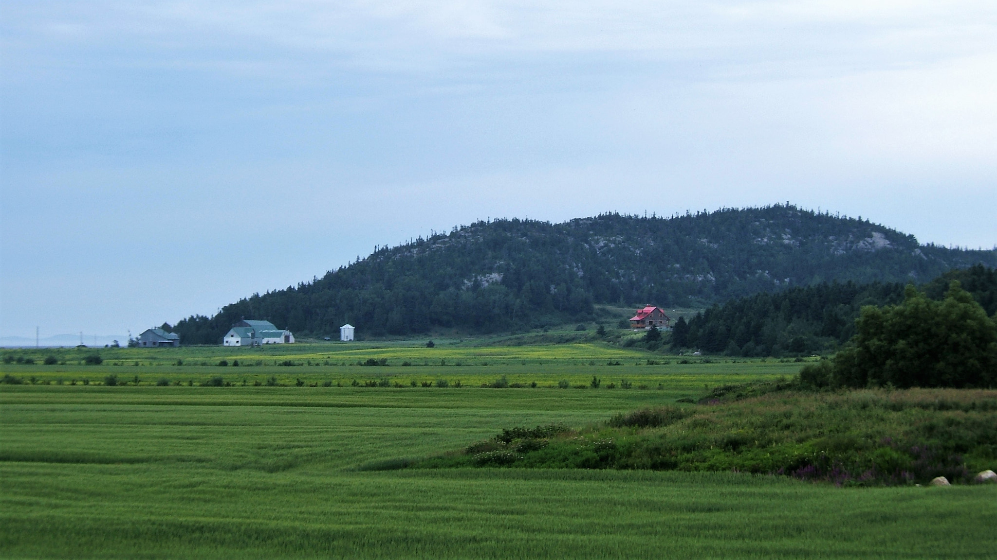 Fujifilm FinePix F810 sample photo. Kamouraska,qc photography