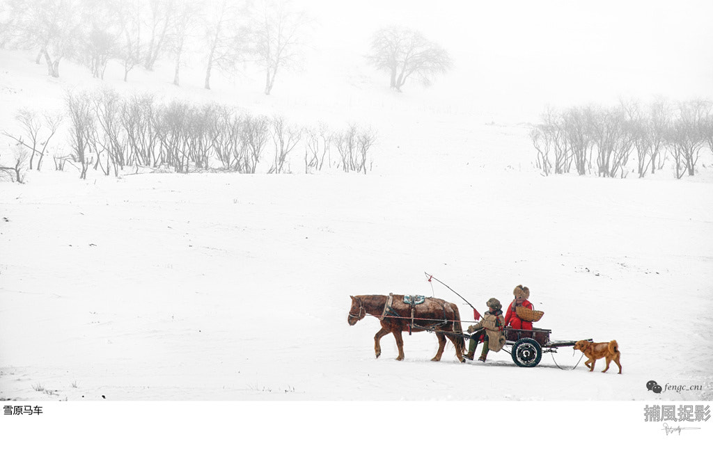 AF Zoom-Nikkor 80-200mm f/2.8 ED sample photo. 雪原马车 photography