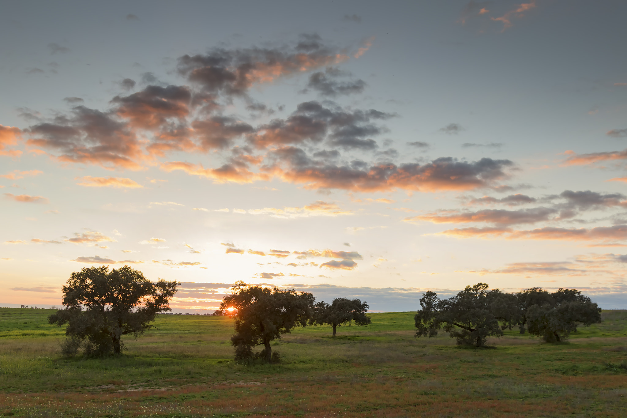 Canon EF-S 17-55mm F2.8 IS USM sample photo. Atardecer photography