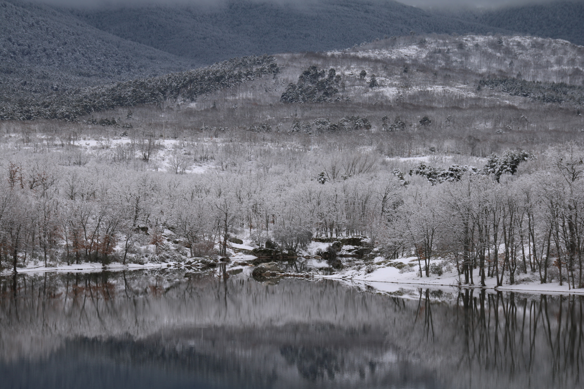 Canon EOS 750D (EOS Rebel T6i / EOS Kiss X8i) + Sigma 18-250mm F3.5-6.3 DC OS HSM sample photo. Cold day photography