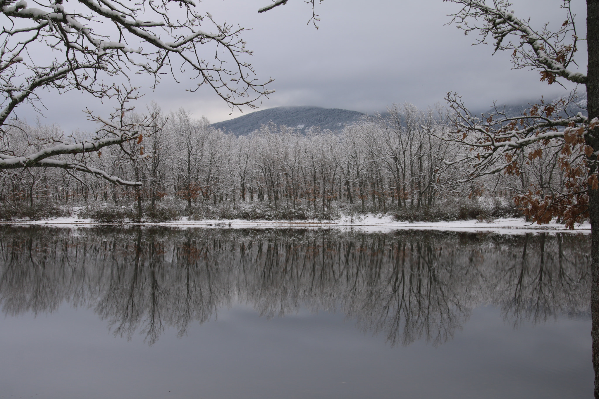 Sigma 18-250mm F3.5-6.3 DC OS HSM sample photo. White forest photography