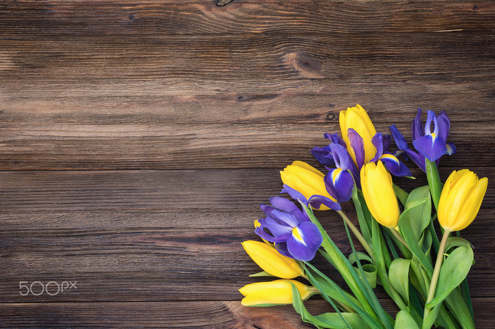 Nikon D7100 + Nikon AF-S Nikkor 50mm F1.4G sample photo. Tulips and irises on wooden background photography