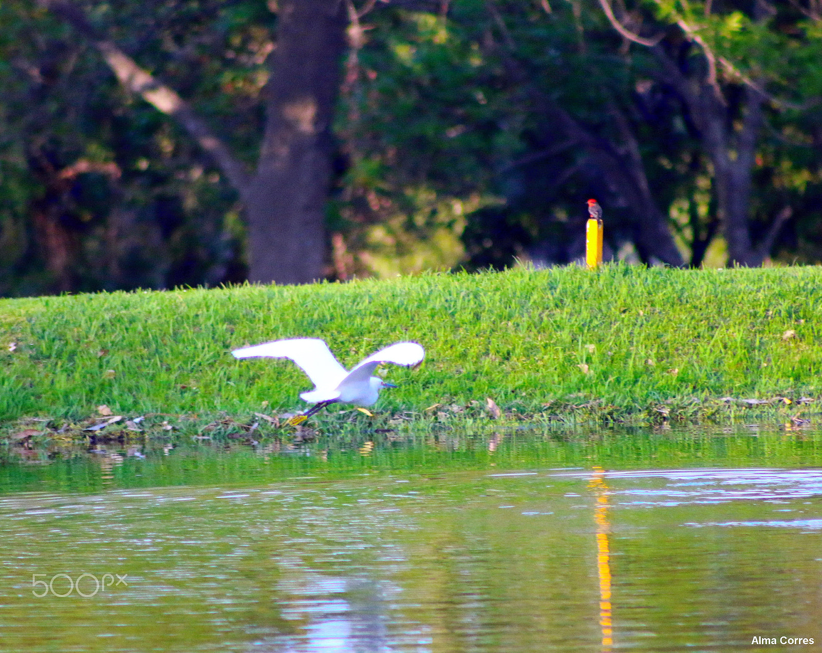 Canon EF 75-300mm f/4-5.6 USM sample photo. My two favorite charaters photography