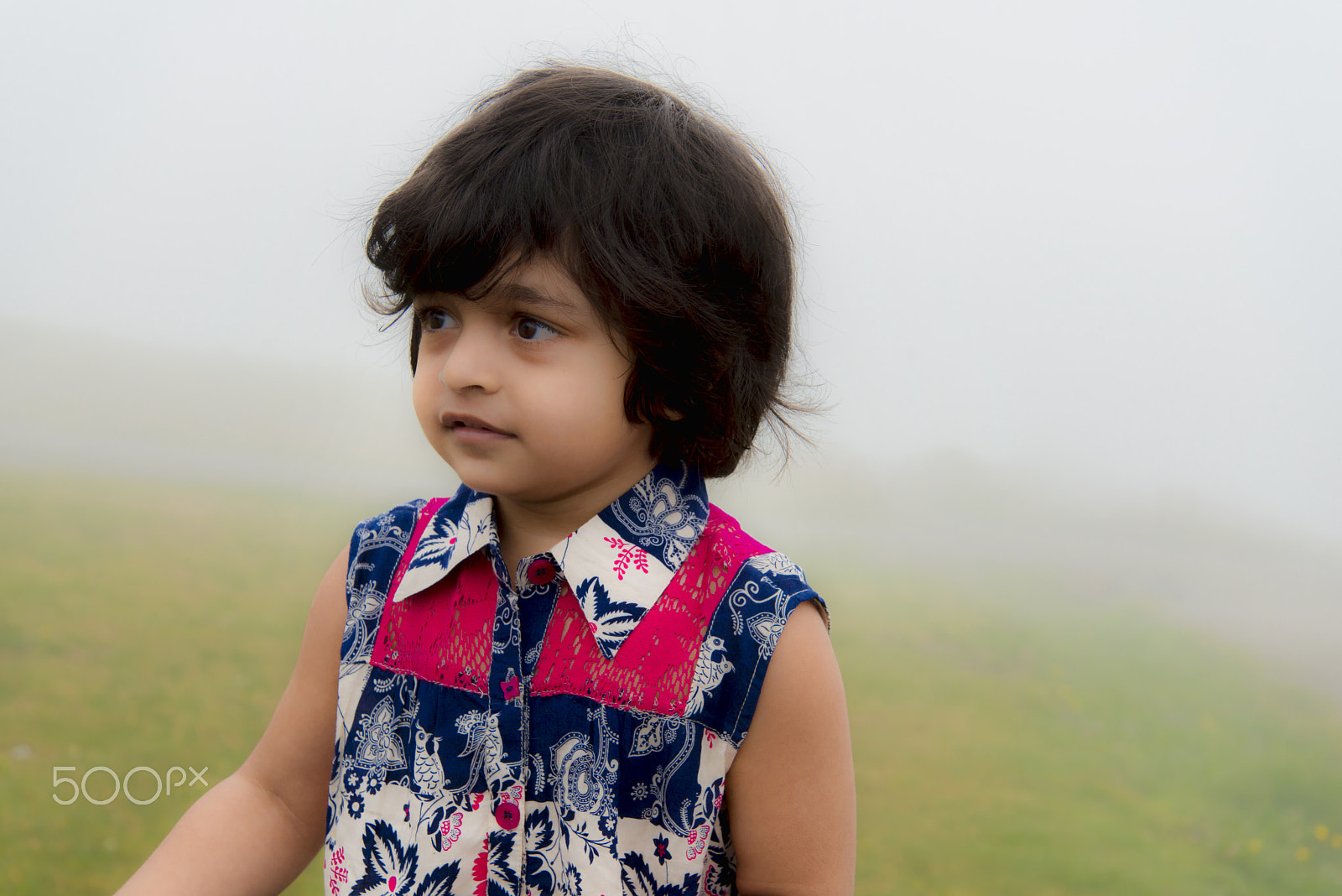 Nikon D800 sample photo. Mahi photography