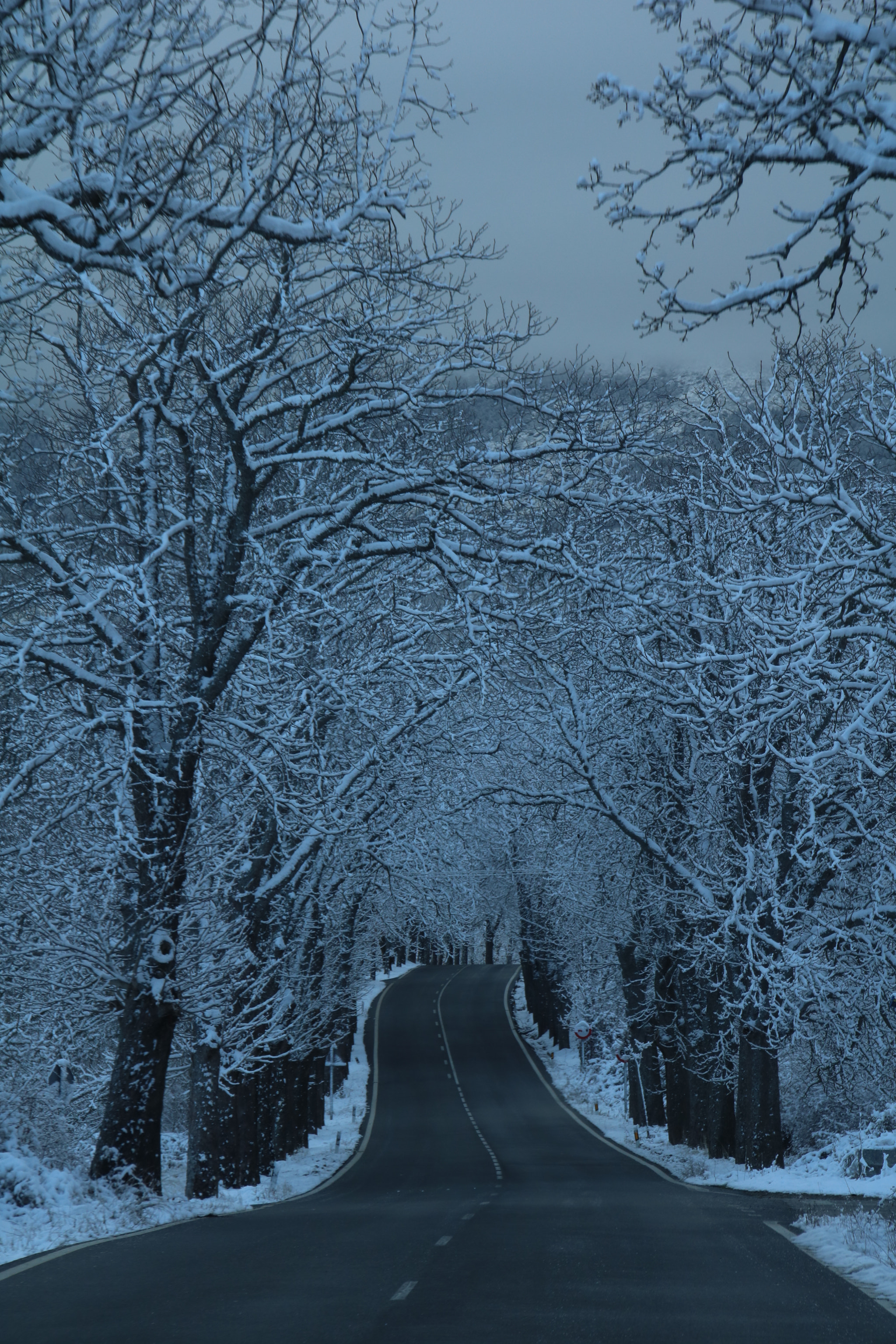 Sigma 18-250mm F3.5-6.3 DC OS HSM sample photo. Lonely road photography