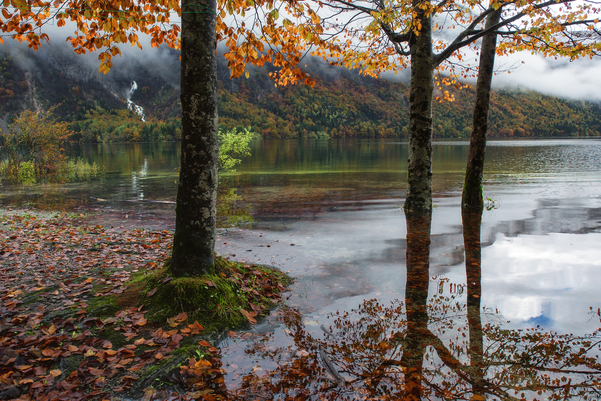 Olympus OM-D E-M5 sample photo. Lakeside mirror photography