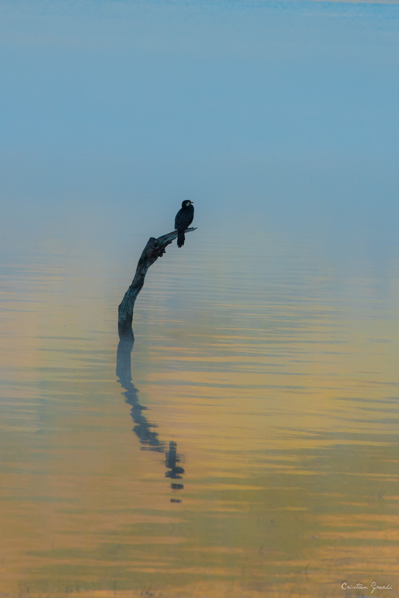 Nikon Nikkor AF-S 300mm F4E PF ED VR sample photo. Early bird! photography