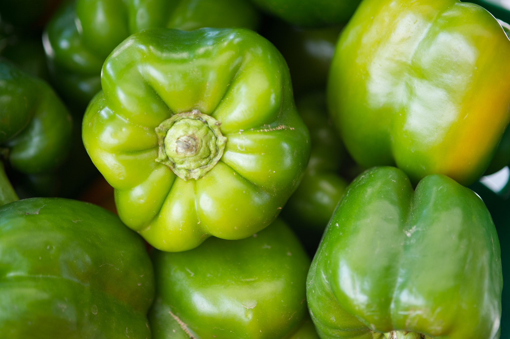 Nikon D3S sample photo. Green peppers photography