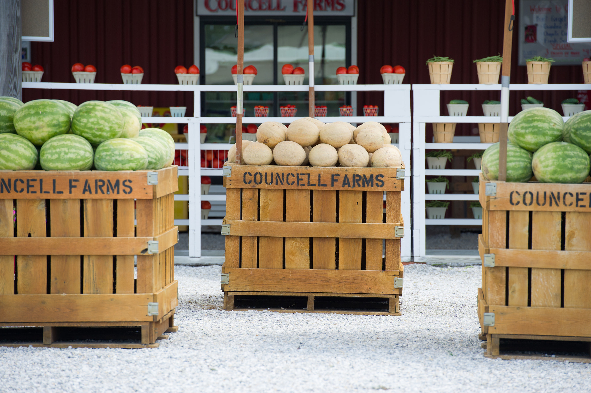 Nikon D3S sample photo. Bins of fresh fruit and vegetables at farmer's stand in maryland photography