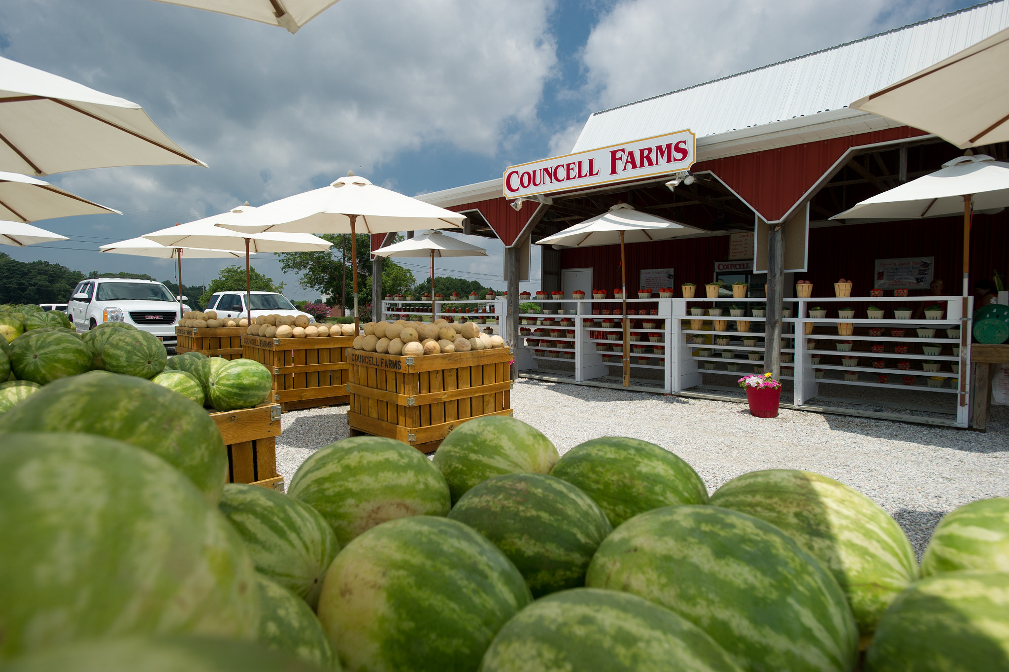 Nikon AF-S Nikkor 17-35mm F2.8D ED-IF sample photo. Farm stand with watermelon, cantaloupe and other fresh produce photography