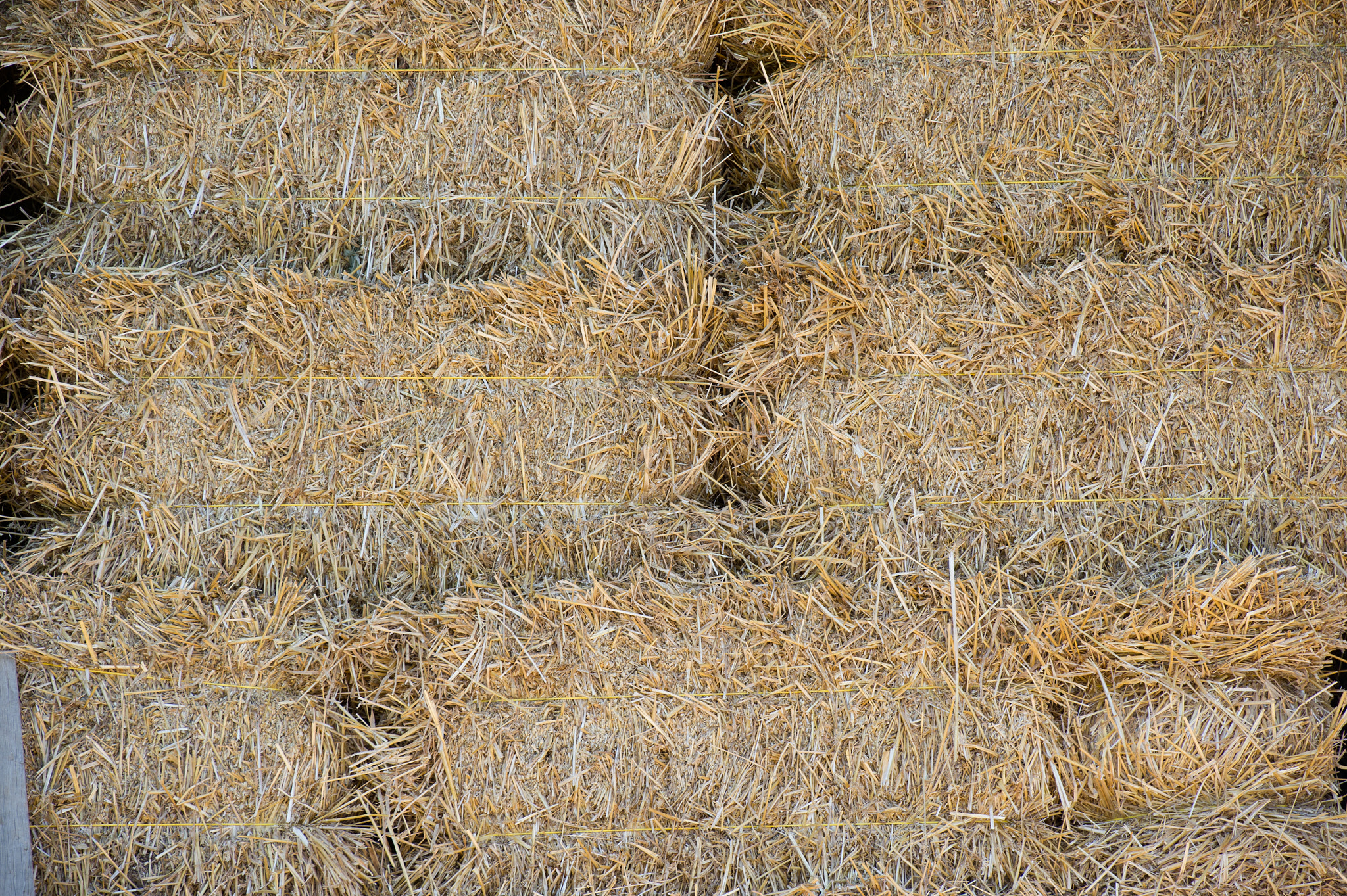 Nikon D3S sample photo. Bales of  hay stacked photography