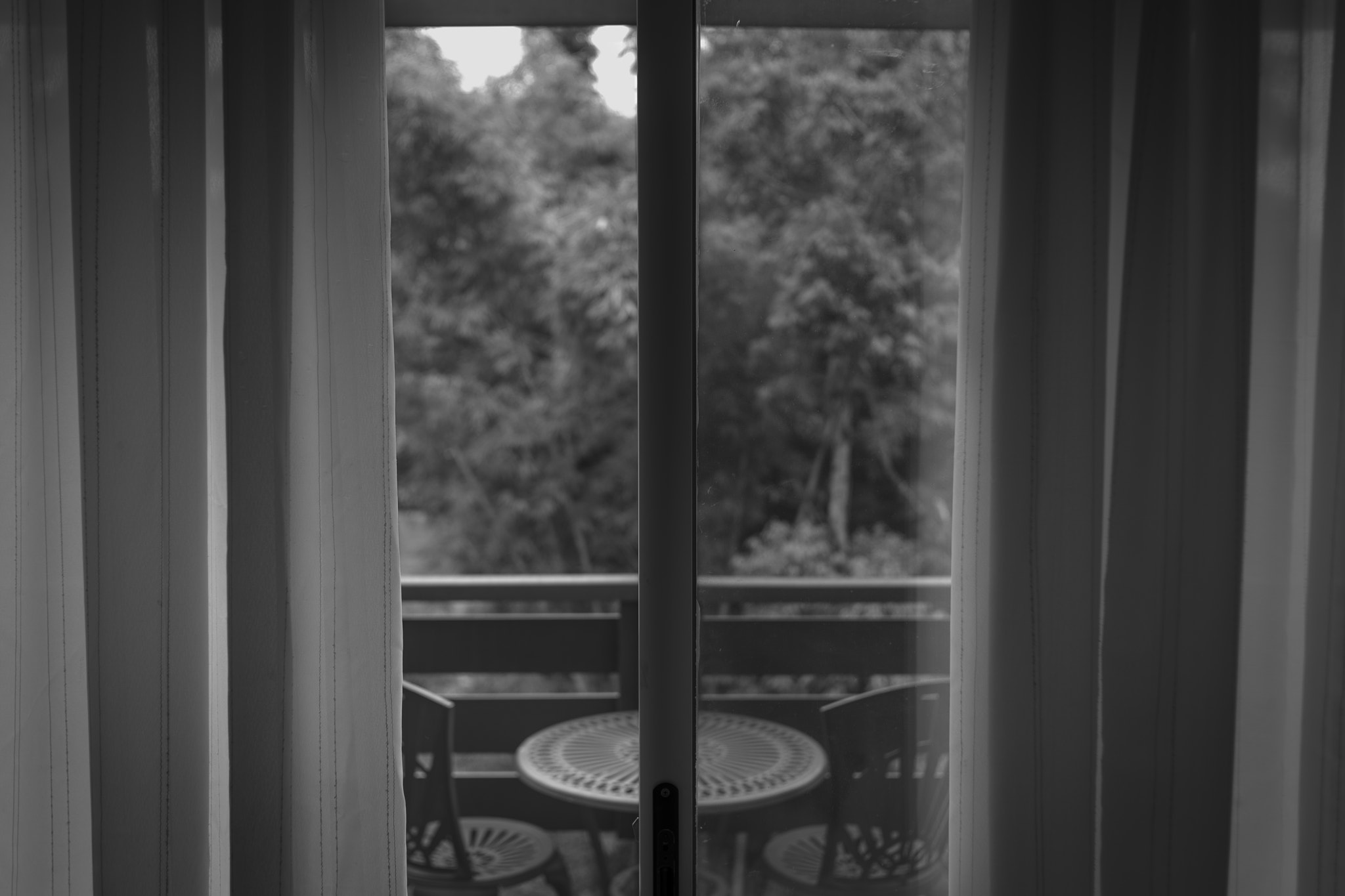 Nikon AF Nikkor 35mm F2D sample photo. Nature through the window photography