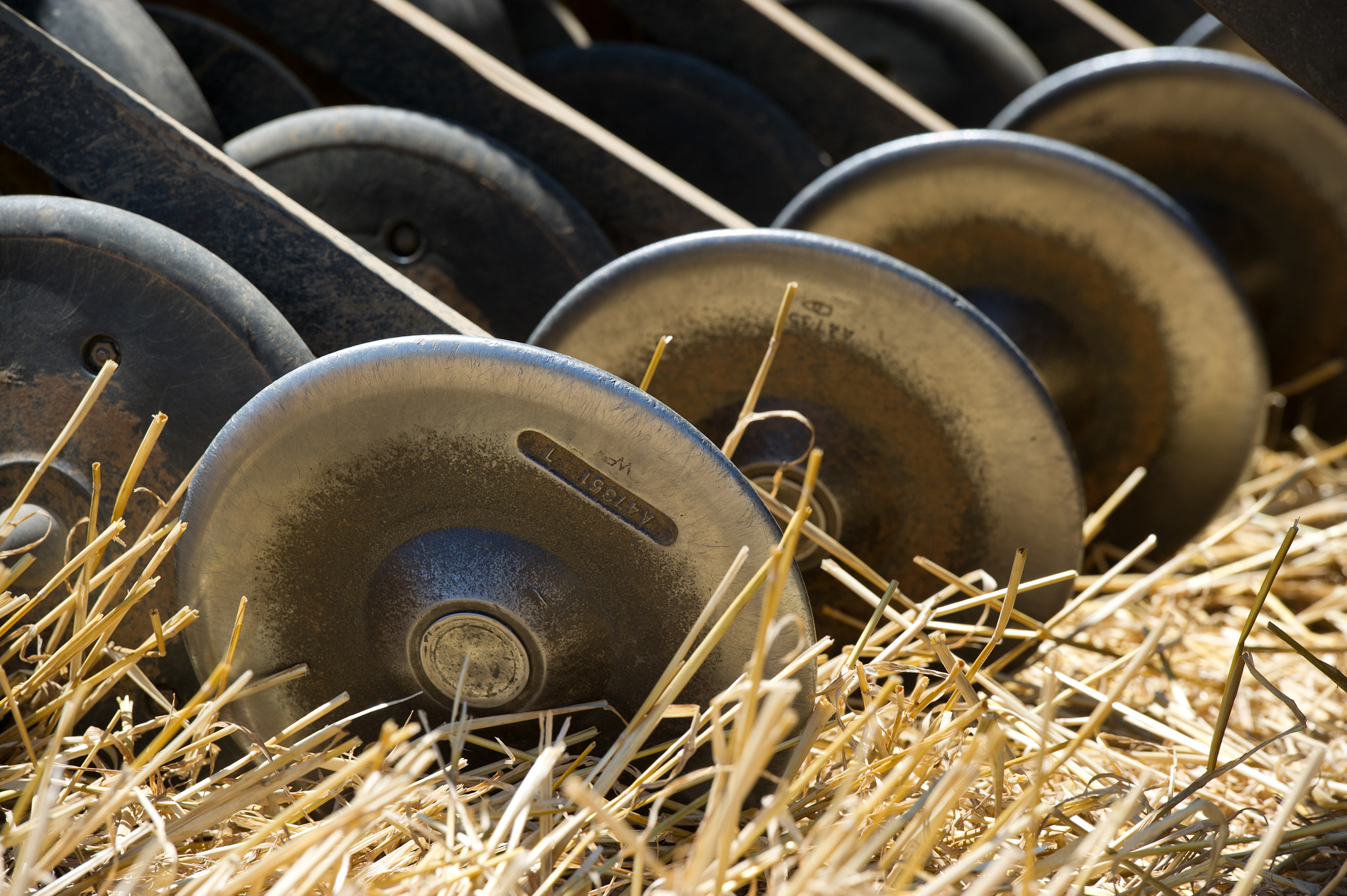 Nikon D3S sample photo. Blades of combine harvesting grain photography