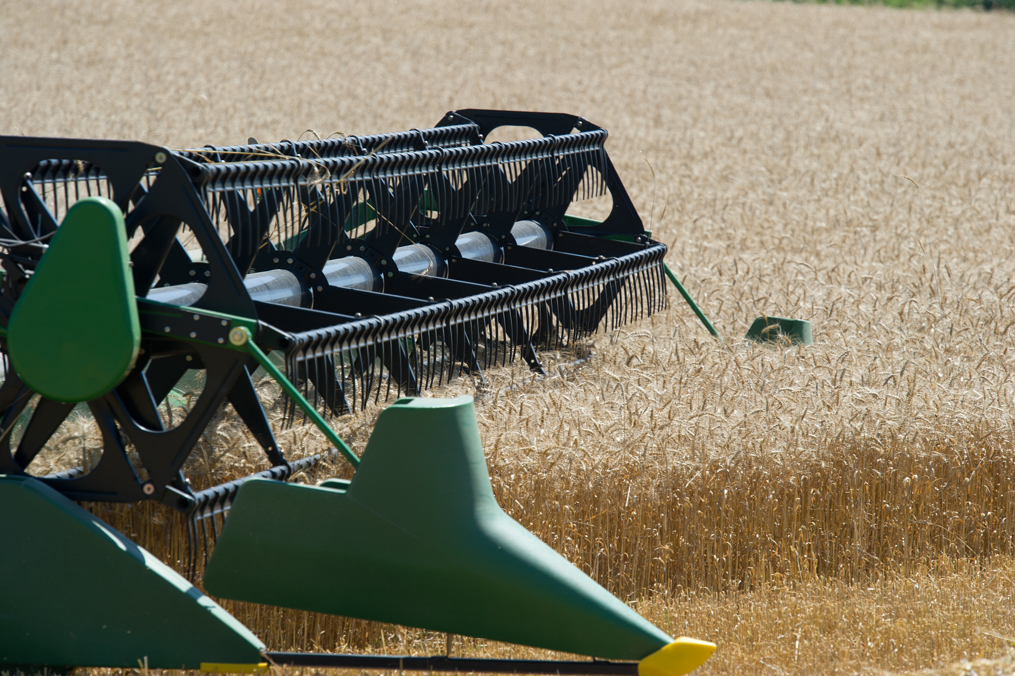 Nikon D3S sample photo. Combine harvesting grain photography