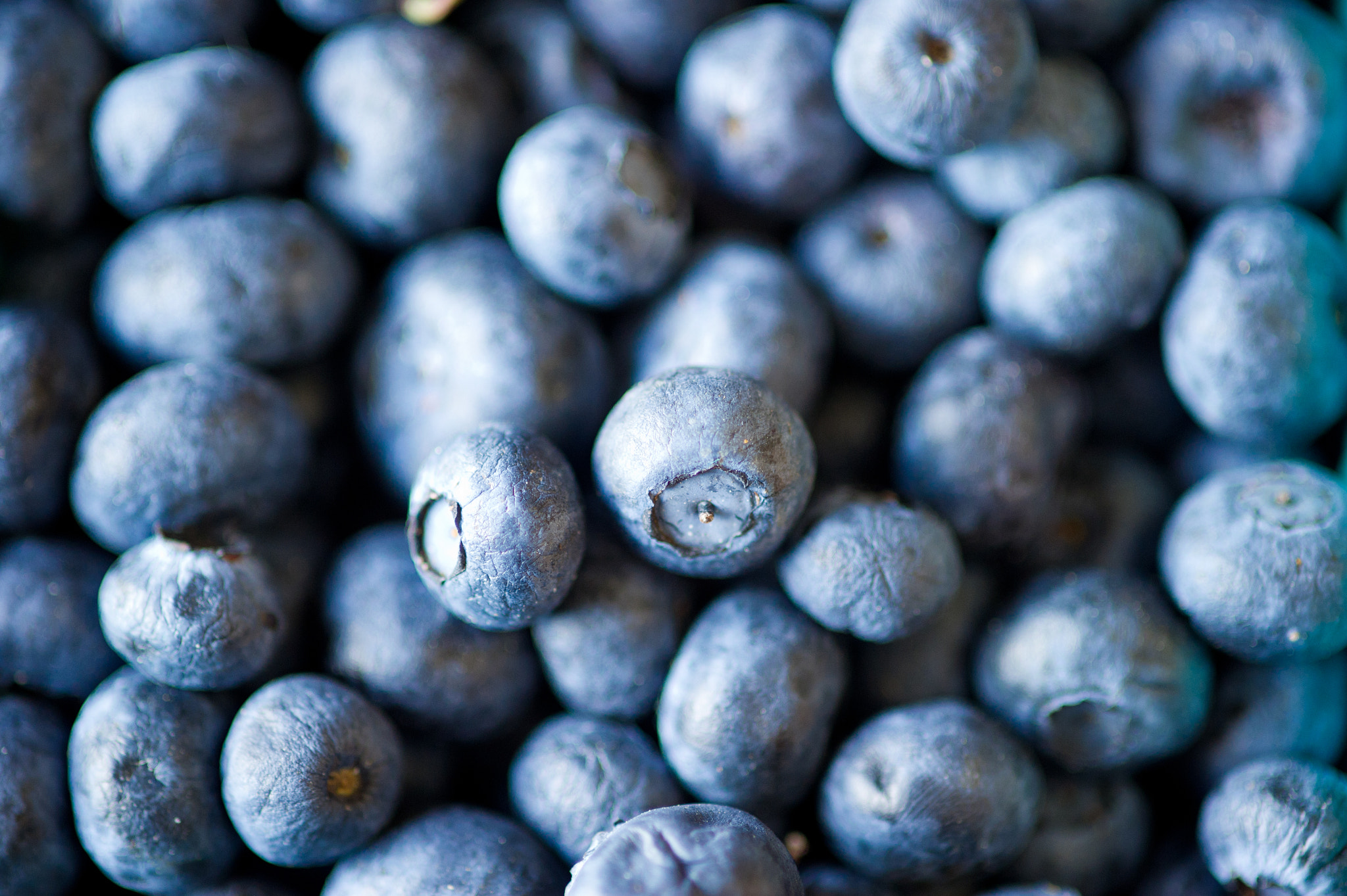 Nikon D3S sample photo. Crates of blueberries for sale at a farmer's market photography