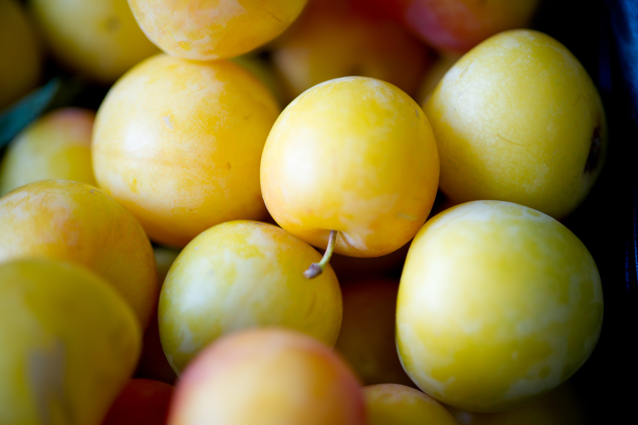 Nikon D3S sample photo. Crates of plums for sale at a farmer's market photography