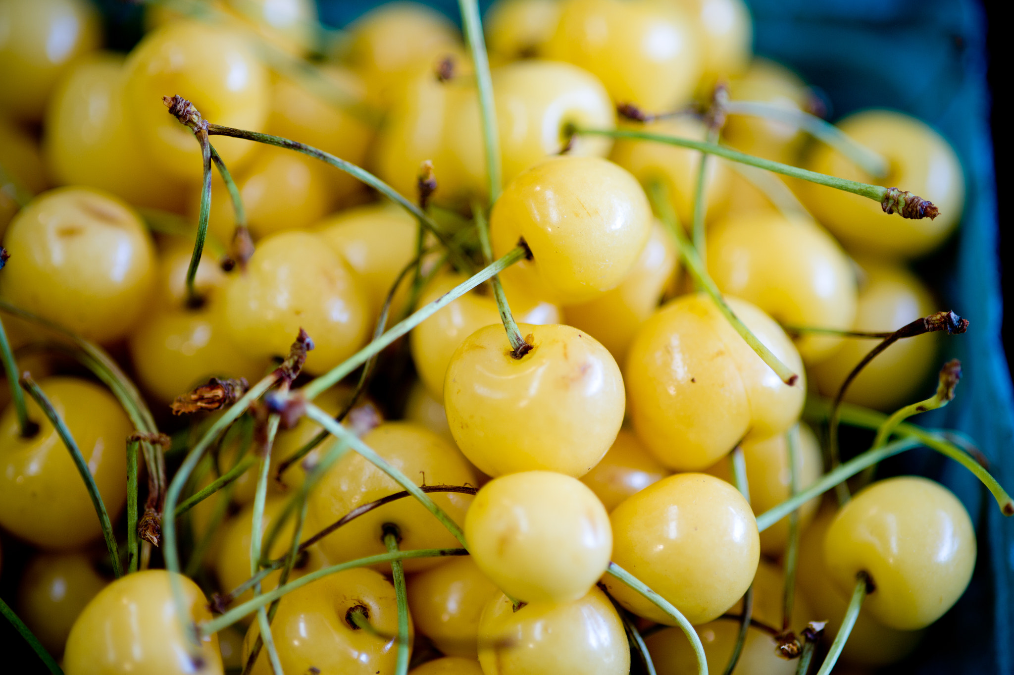Nikon D3S sample photo. Cartons of white cherries at farmer's market photography