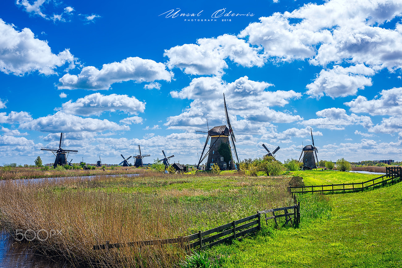 Nikon D810 + Sigma 35mm F1.4 DG HSM Art sample photo. A nice day in kinderdijk 4 photography