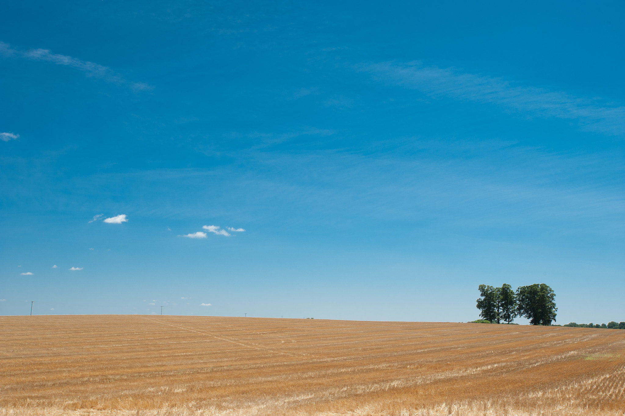 Nikon D700 + Nikon AF-S Nikkor 17-35mm F2.8D ED-IF sample photo. Grain producer's property in maryland photography