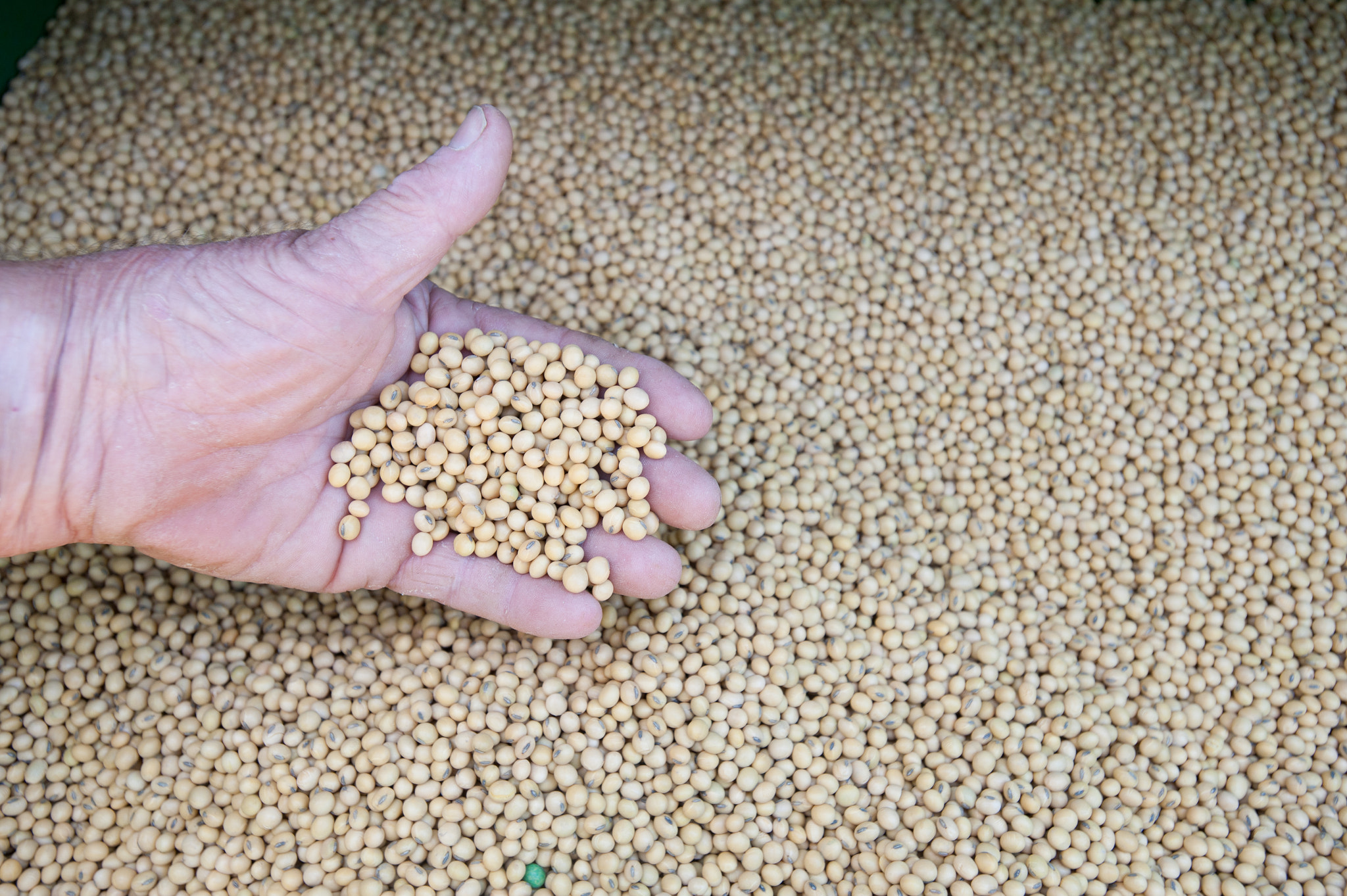 Nikon D700 + Nikon AF-S Nikkor 17-35mm F2.8D ED-IF sample photo. Detail of farmer inspecting grain in combine photography