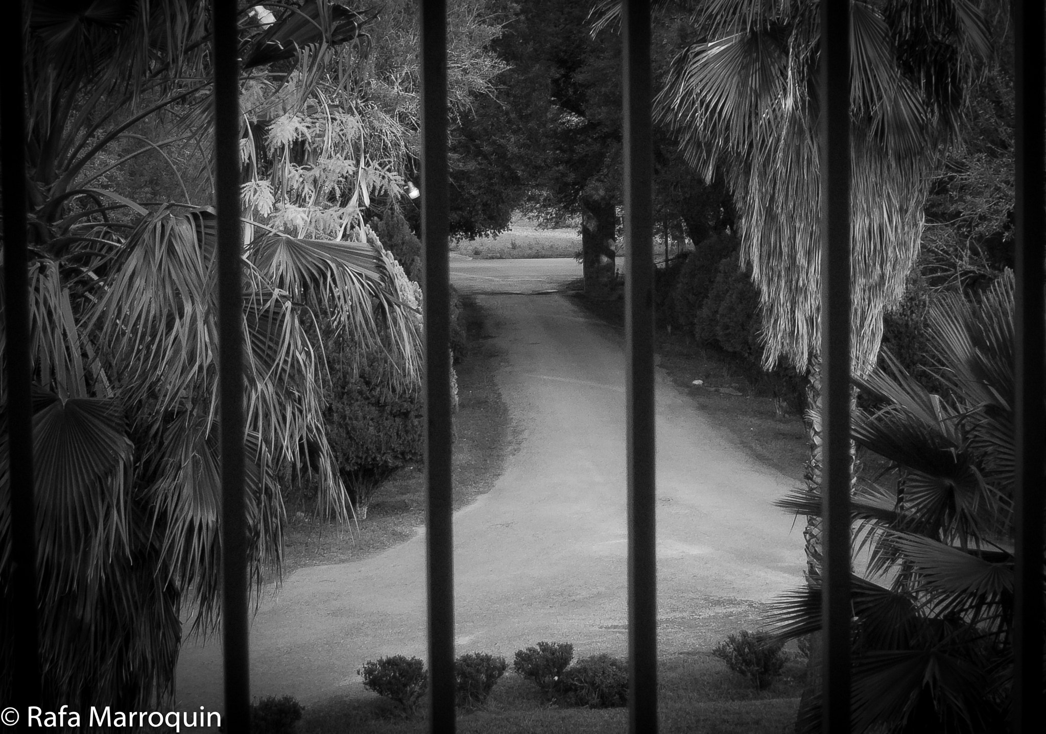 Fujifilm FinePix E550 sample photo. Camino en gris photography