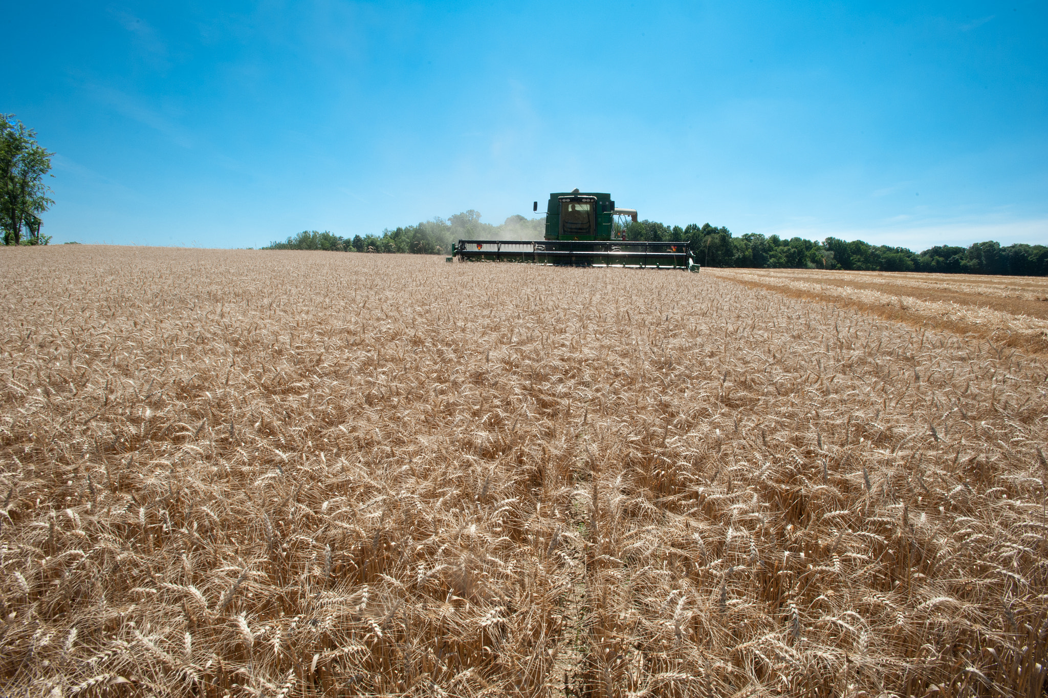 Nikon AF-S Nikkor 17-35mm F2.8D ED-IF sample photo. Combine harvesting grain photography