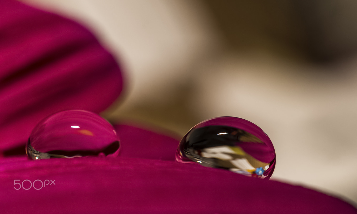 Sony DT 30mm F2.8 Macro SAM sample photo. Twins photography