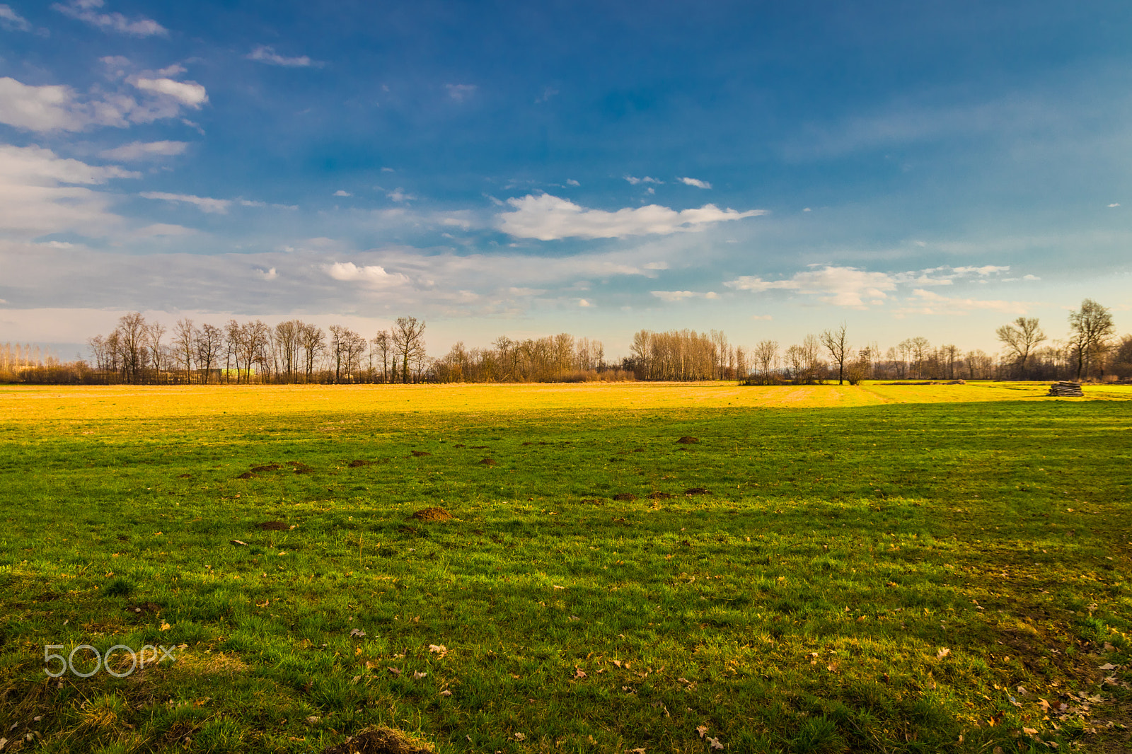 Canon EOS 80D + Sigma 17-70mm F2.8-4 DC Macro OS HSM | C sample photo. Fields in canavese, italy photography