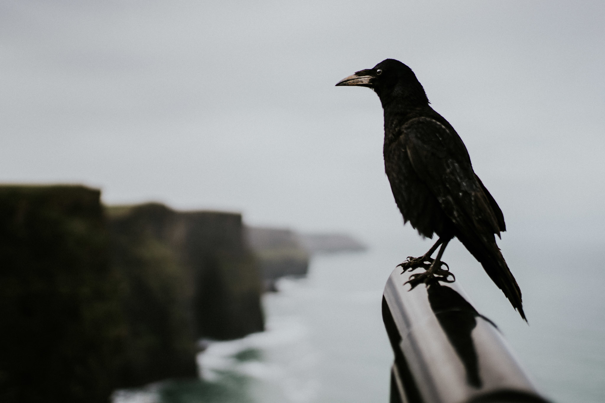 Sony a7 II + Sony DT 50mm F1.8 SAM sample photo. Cliffs of moher, ireland photography