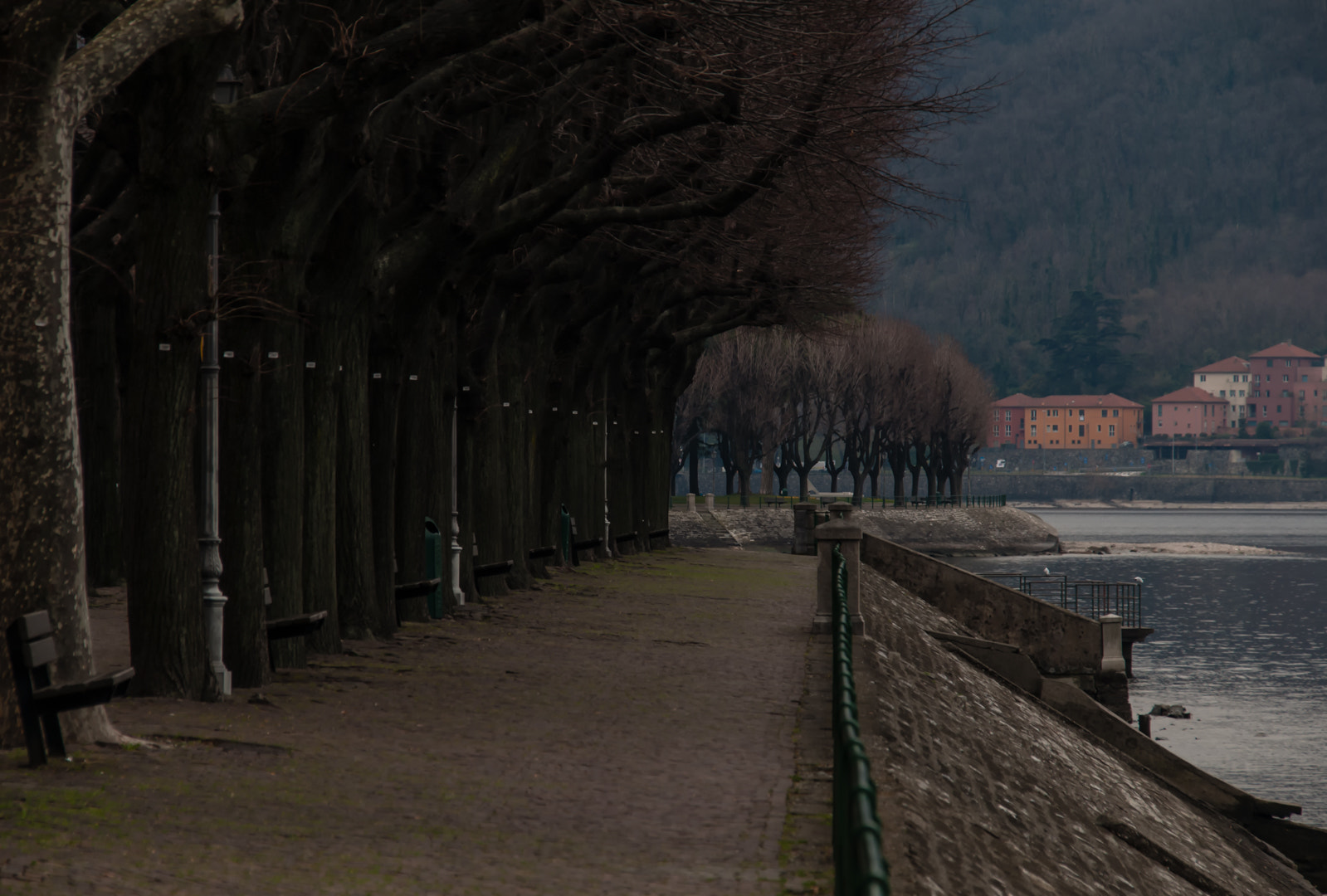 Sigma 18-200mm F3.5-6.3 DC OS HSM sample photo. Modifica photography
