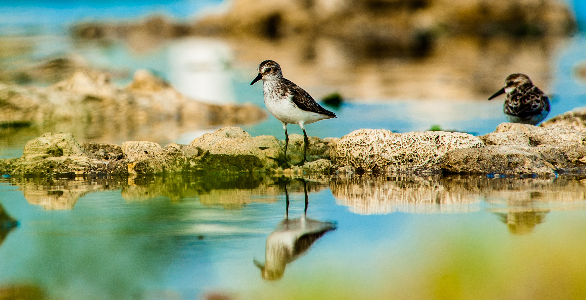 Nikon D700 sample photo. Reflejos photography