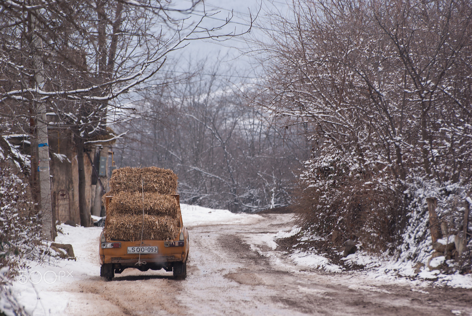 Pentax K10D sample photo. Way back to home photography