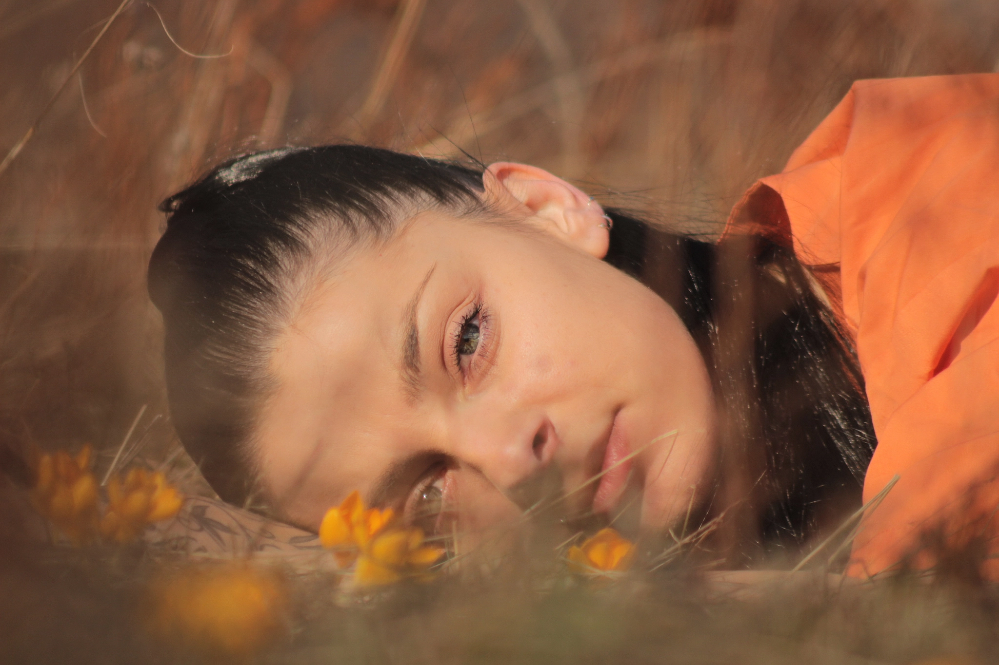 Canon EOS 600D (Rebel EOS T3i / EOS Kiss X5) + Canon EF 100-300mm f/5.6 sample photo. Orange dreams photography