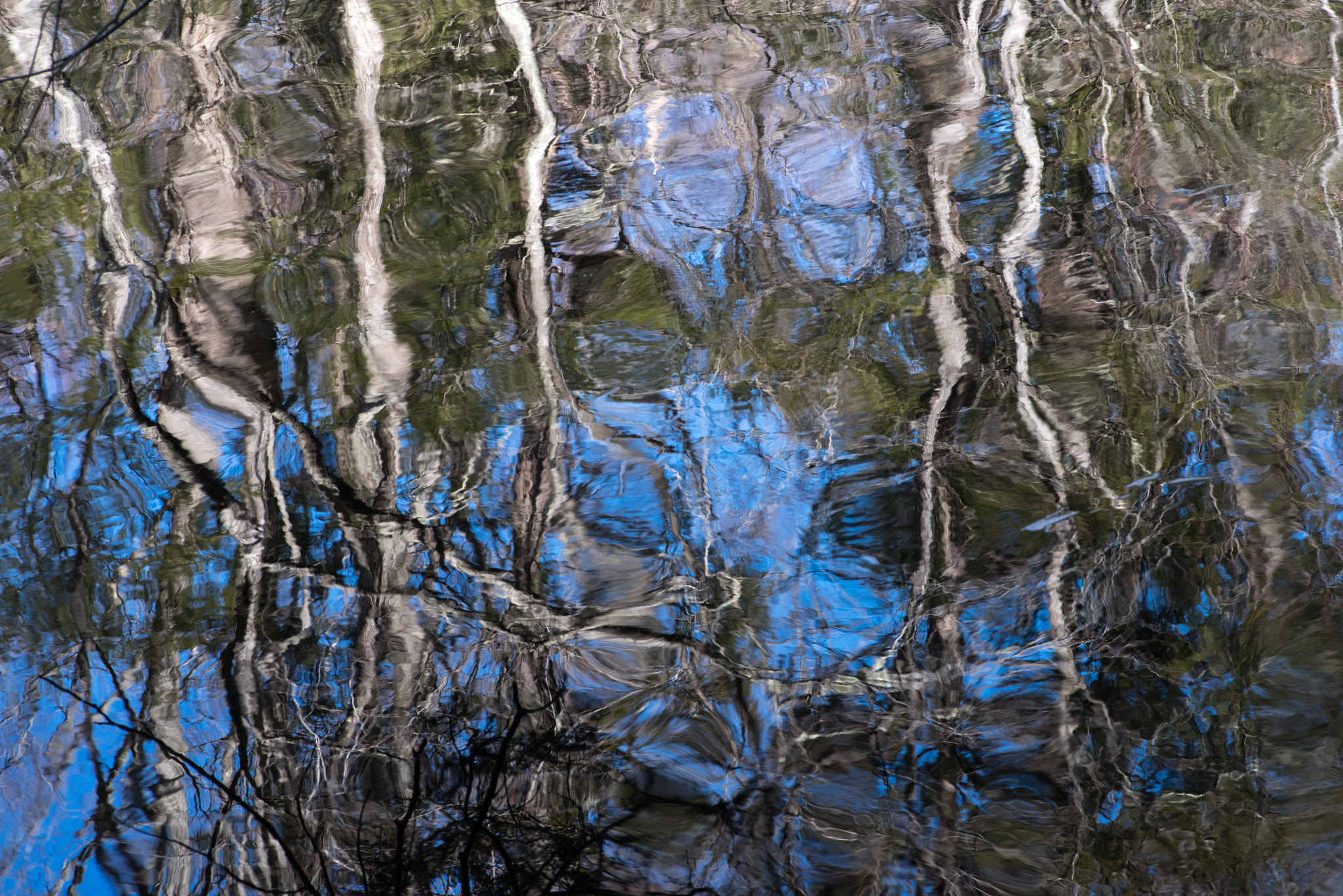 Pentax K-1 + Pentax smc D-FA 100mm F2.8 Macro WR sample photo. Images on the water photography