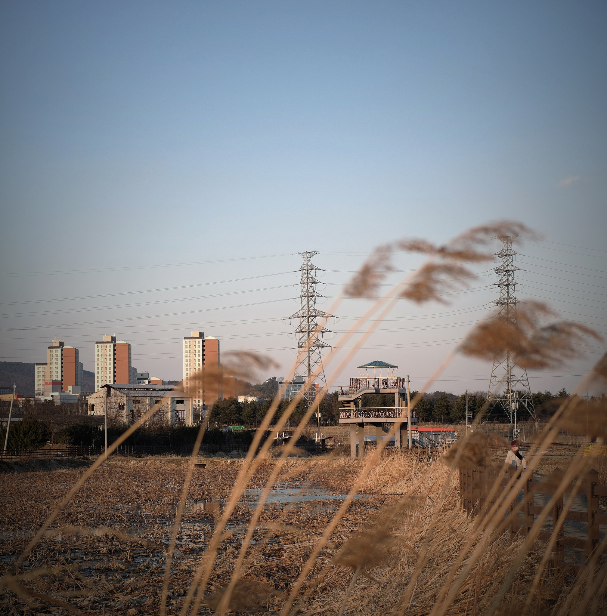 Samsung NX300M sample photo. Wet lands photography