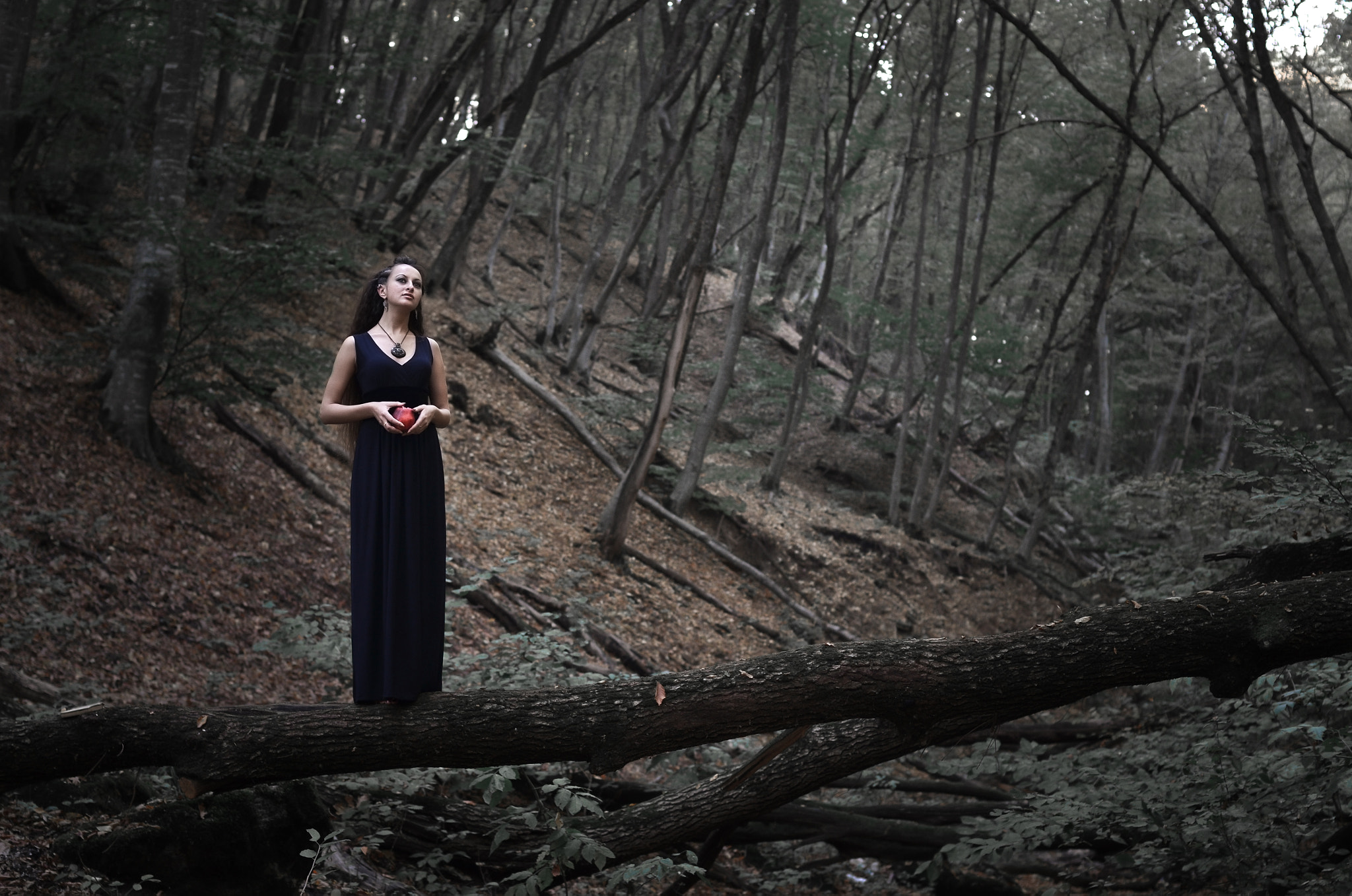 Nikon D7000 sample photo. Witch of forest photography