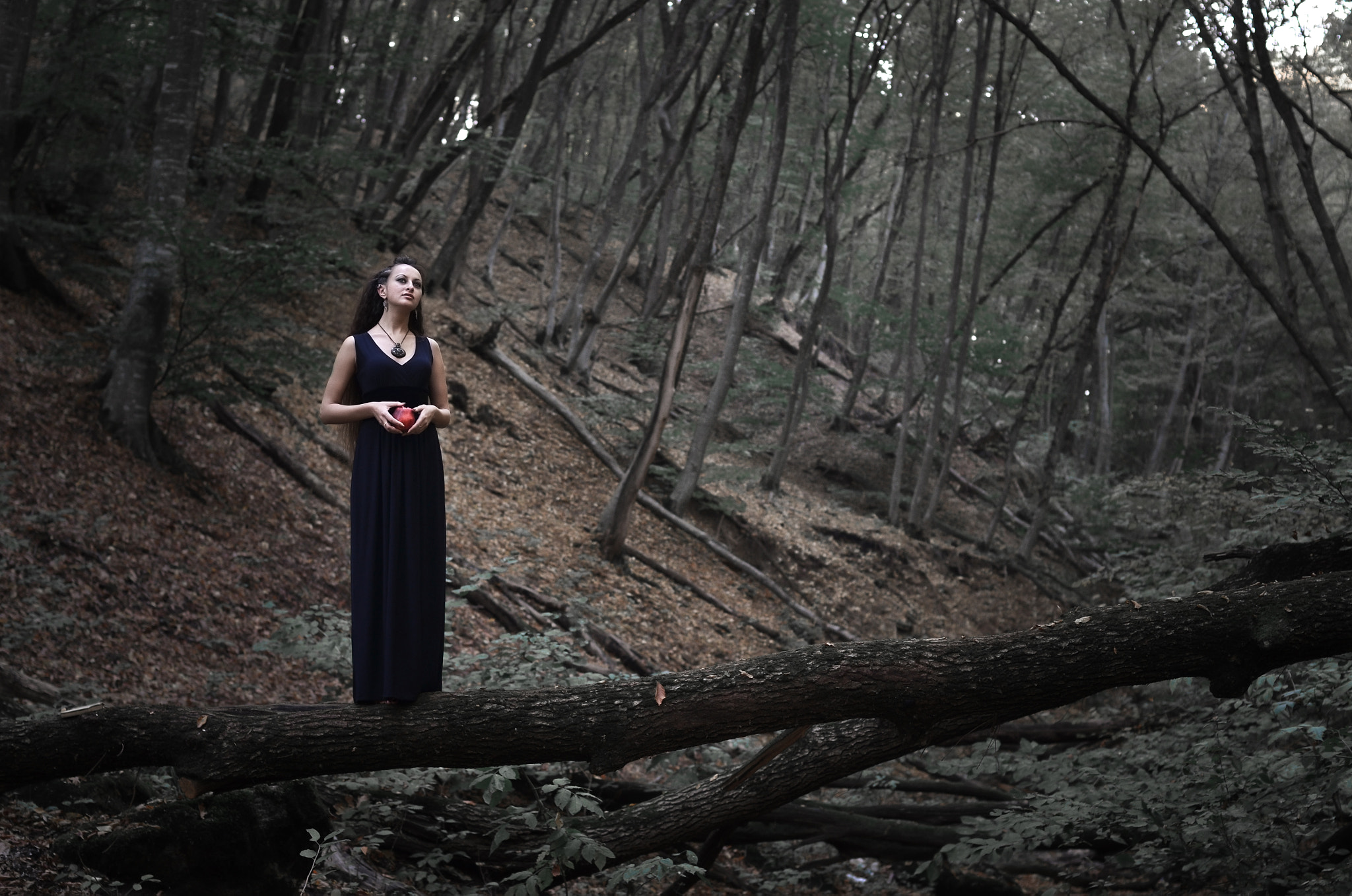 Nikon D7000 + Nikon AF Nikkor 50mm F1.4D sample photo. Witch of forest photography